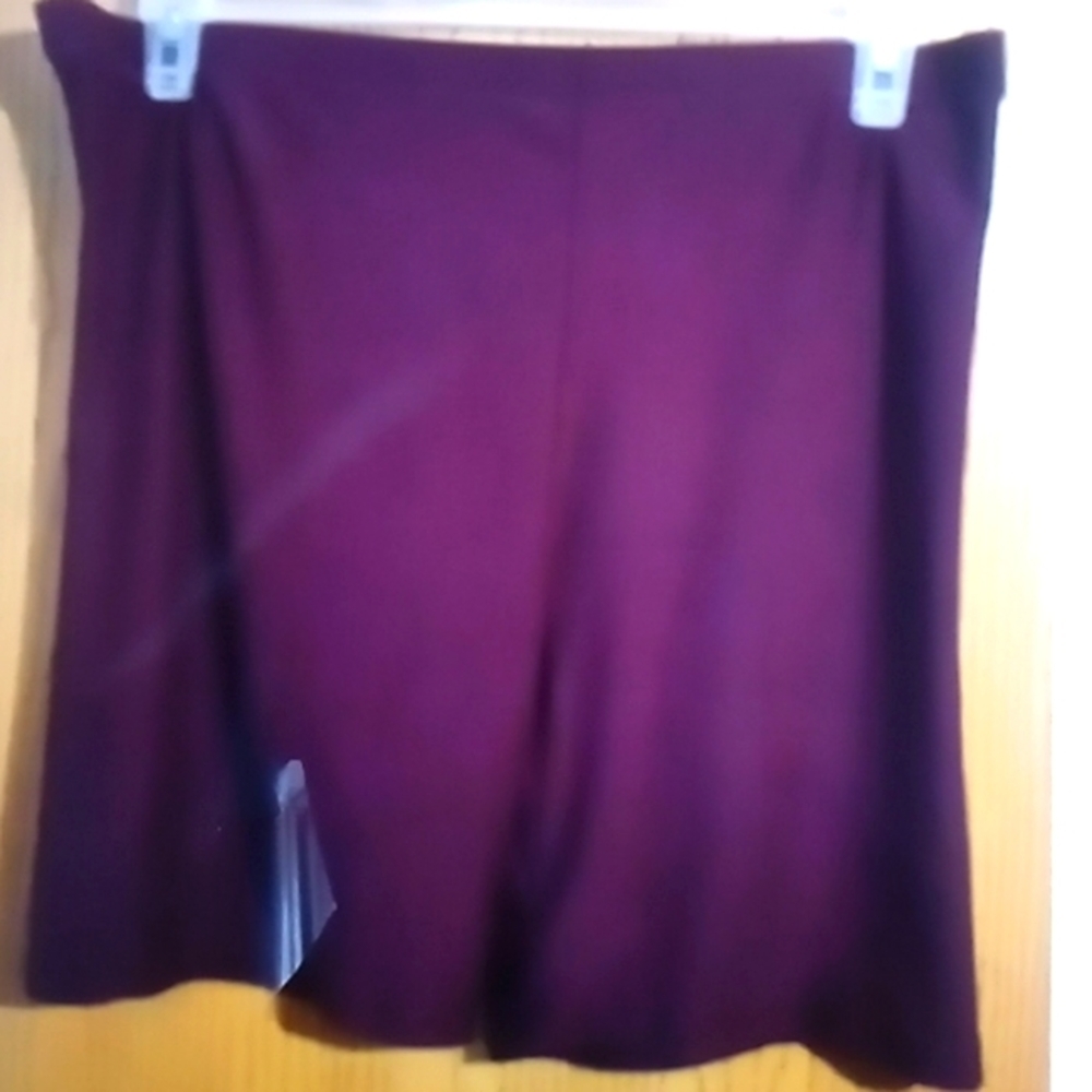 COPY - ASHLEY blue purple shorts 2x new